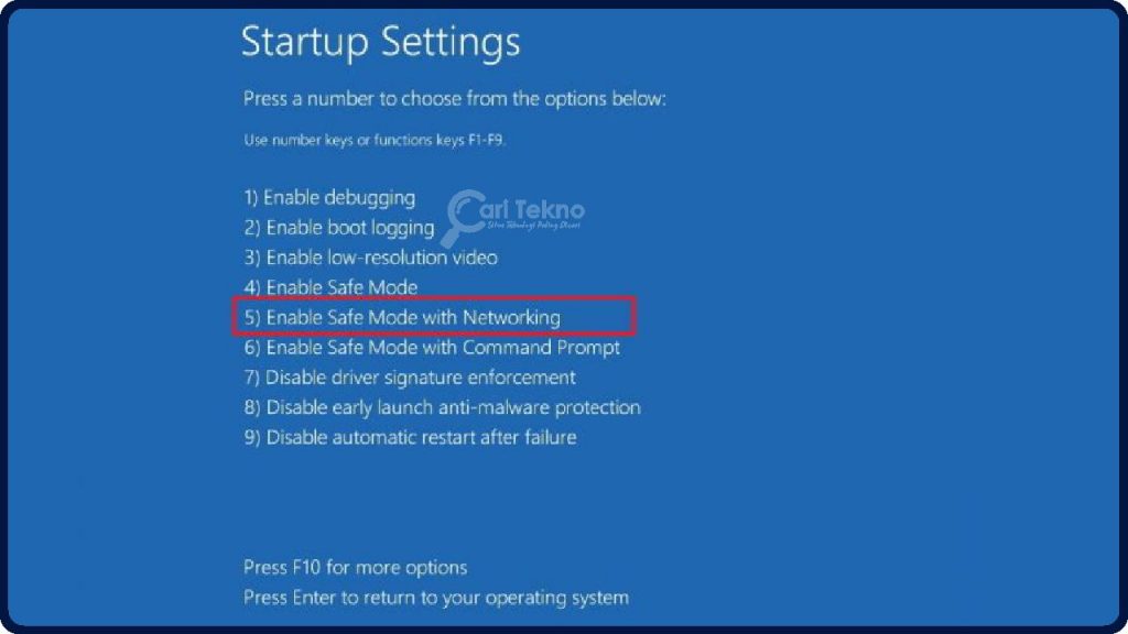 enable safe mode with networking