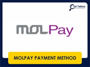 molpay payment method definisi, cara pembayaran